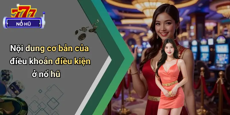 Điều Khoản Điều Kiện
