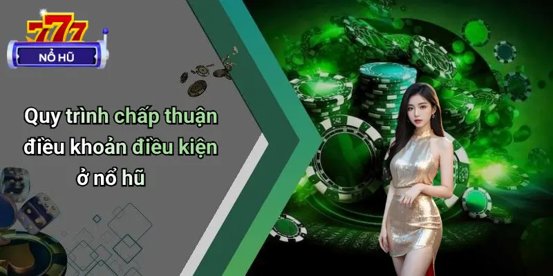 Điều Khoản Điều Kiện